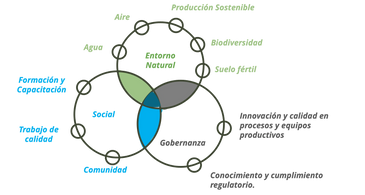 Compromisos medibles