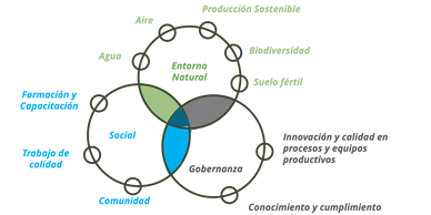 Valoramos y certificamos